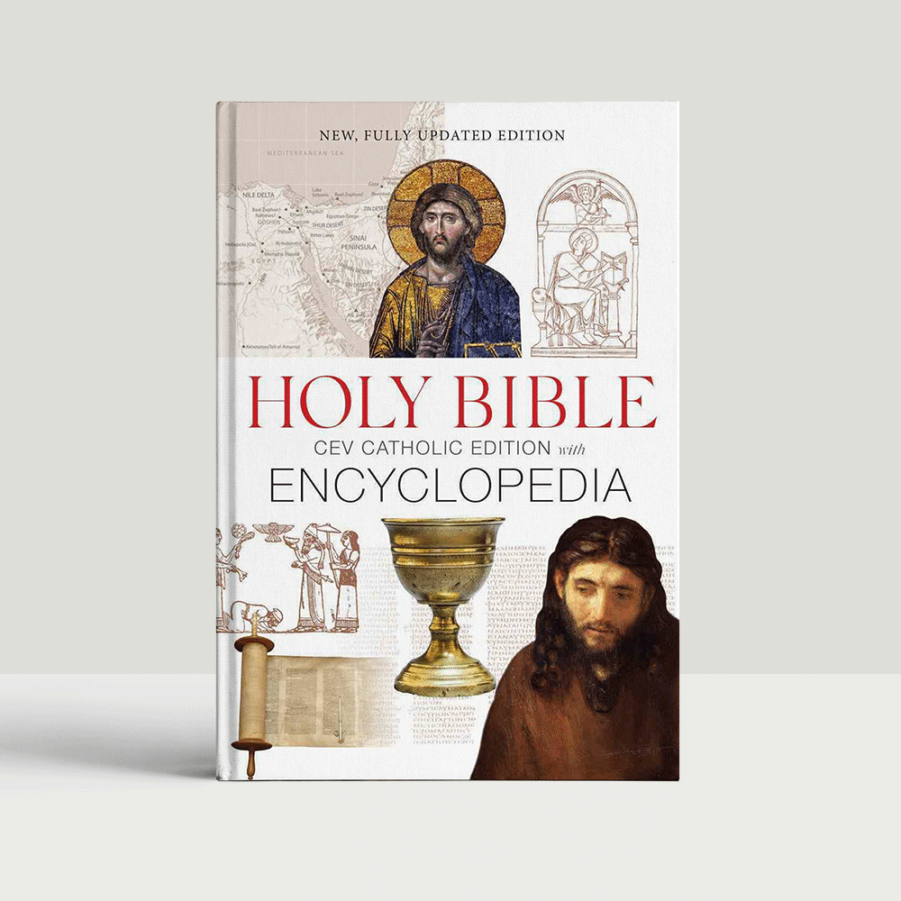 Box of 10 CEV Holy Bible Catholic Edition Bibles in hardcover, ideal for classroom learning.